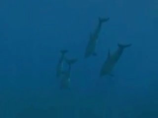 Underwater adult clip