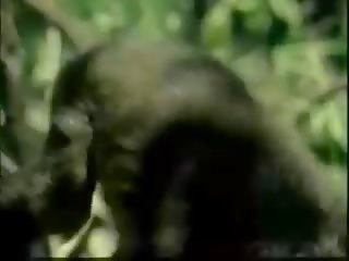 Tarzan xxx
