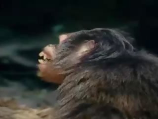 Tarzan-x schande von jane - teil 1, kostenlos sex film 88