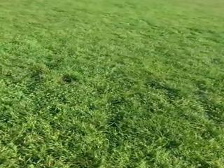 Franceze cutie tracy trëndafil i zgjedhur lart në park për i madh