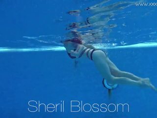 Sheril blossom superior rus sub apa, hd x evaluat video bd